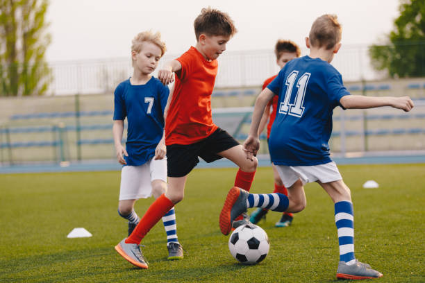 img2.jpg